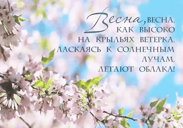 Анимированная открытка Весна, весна, как высоко на крыльях ветерка, ласкаясь к солнечным лучам, летают облака!