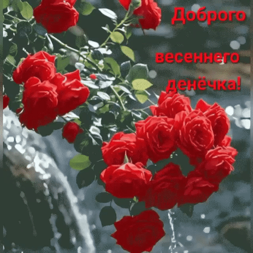Анимированная открытка Доброго весеннего денёчка!