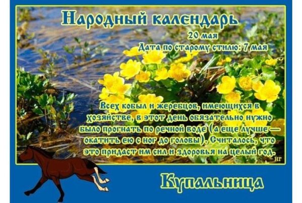 Открытка 20 мая Купальница