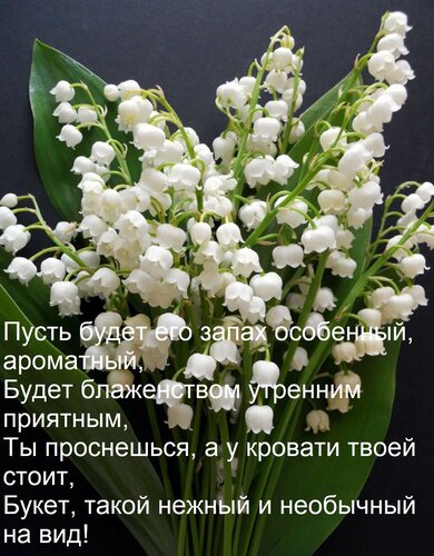 Открытка Пусть будет его запах особенный, ароматный, Будет блаженством утренним приятным, Ты проснешься, а у