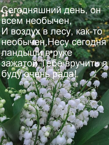 Открытка Сегодняшний день, он всем необычен, И воздух в лесу, как-то необычен, Несу сегодня ландыши в руке за