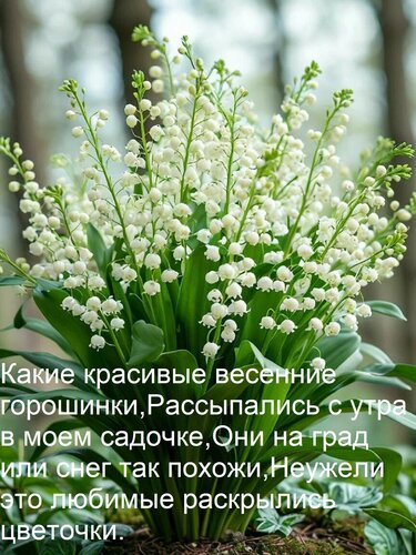 Открытка Какие красивые весенние горошинки, Рассыпались с утра в моем садочке, Они на град или снег так похож