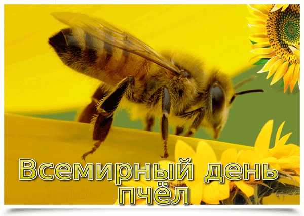 Анимированная открытка Всемирный день пчёл