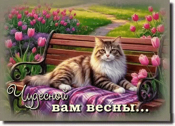 Анимированная открытка Чудесной вам весны...