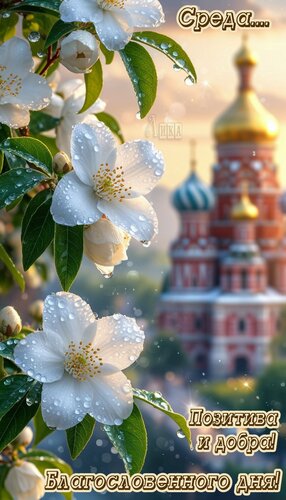Открытка Среда. День