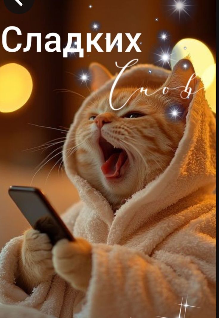 Открытка Сладких снов