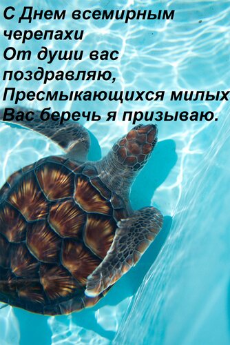 Открытка С Днем всемирным черепахи От души вас поздравляю, Пресмыкающихся милых Вас беречь я призываю.
