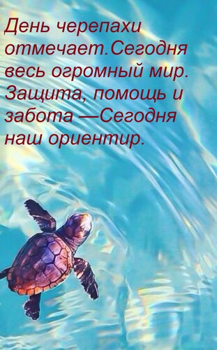 Открытка День черепахи отмечает Сегодня весь огромный мир. Защита, помощь и забота — Сегодня наш ориентир.