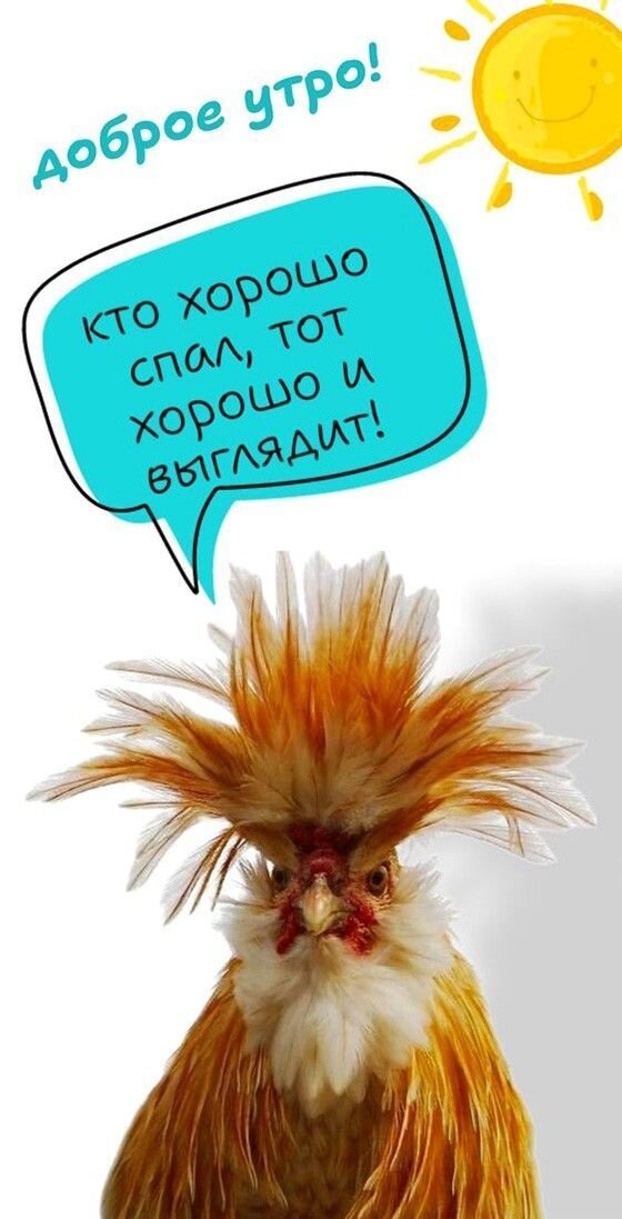 Открытка Доброе утро. Кто хорошо спал, тот хорошо и выглядит