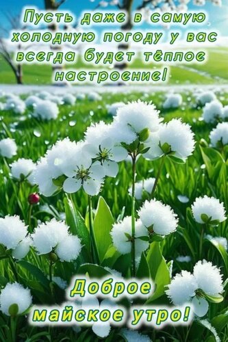 Открытка Пусть даже в самую холодную погоду у вас всегда будет тёплое настроение. Доброе майское утро.
