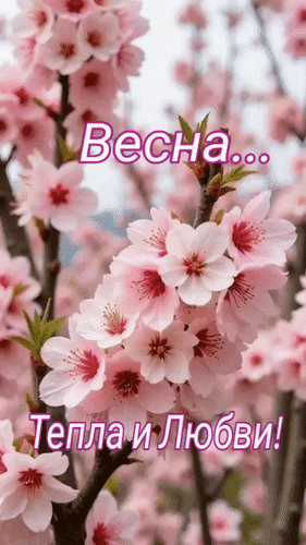Анимированная открытка Весна... Тепла и любви!