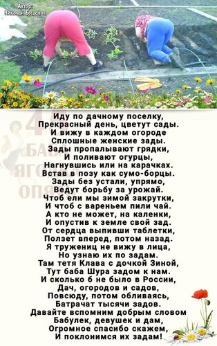 Открытка Поклонимся полющим задам
