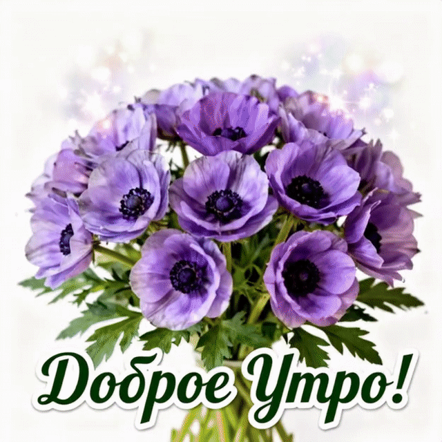 Анимированная открытка Доброе утро