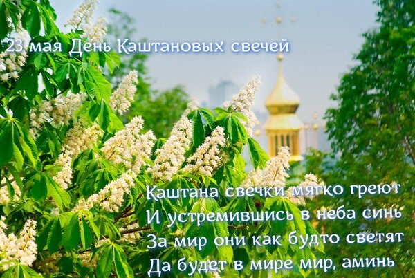 Открытка 23 мая День Каштановых свечек