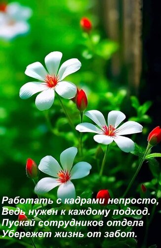 Открытка Работать с кадрами непросто, Ведь нужен к каждому подход. Пускай сотрудников отдела Убережет жизнь о