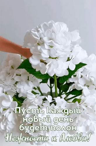 Анимированная открытка Добрый день