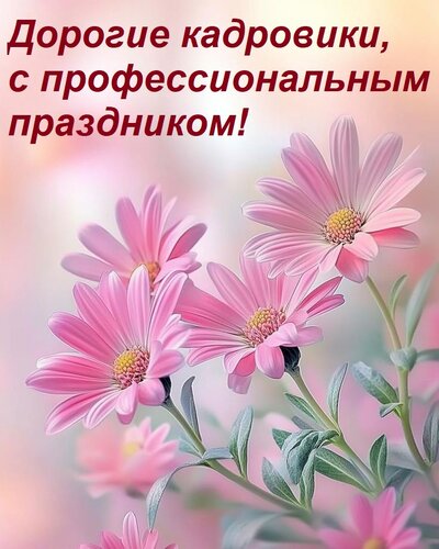Открытка Дорогие кадровики, с профессиональным праздником!