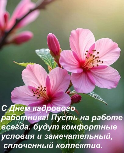 Открытка С днем кадрового работника! Пусть на работе всегда будут комфортные условия и замечательный коллектив