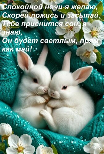 Открытка Спокойной ночи я желаю, скорей ложись и засыпай. Тебе приснится сон, я знаю, он будет светлым...