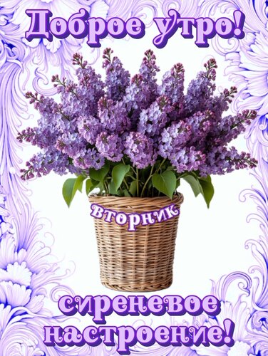 Открытка Доброе утро! Вторник