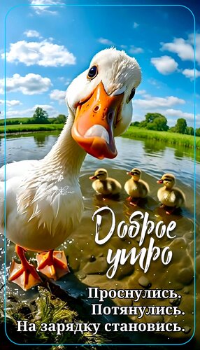Открытка Доброе утро.