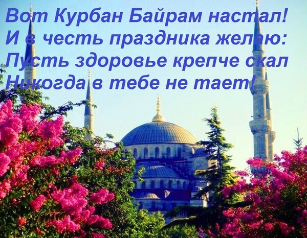 Открытка Вот Курбан Байрам настал! И в честь праздника желаю: пусть здоровье крепче скал никогда в тебе не тает