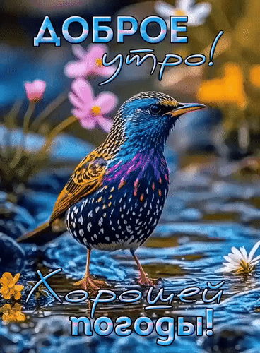 Анимированная открытка Доброе утро! Хорошей погоды!