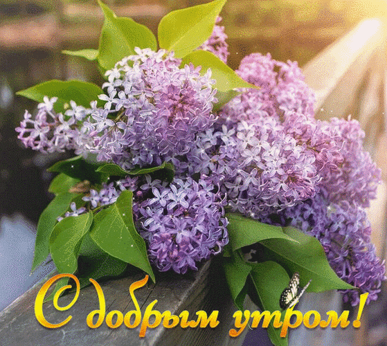 Анимированная открытка С добрым утром!