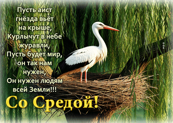 Анимированная открытка среда
