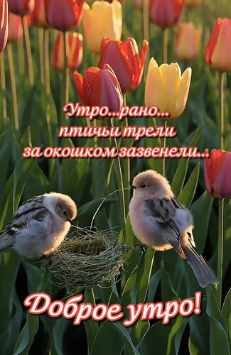Открытка Утро...рано...птичьи трели за окошком зазвенели...