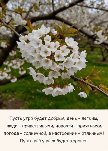 Анимированная открытка Пусть утро будет добрым, день - лёгким, люди - приветливыми, новости - приятными, погода - солнечной