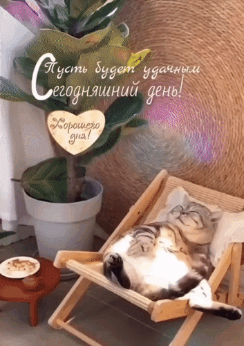 Анимированная открытка Пусть будет удачным сегодняшний день! Хорошего дня!