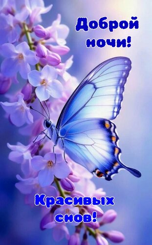 Открытка Доброй ночи