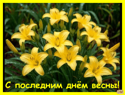 Анимированная открытка Последний день весны