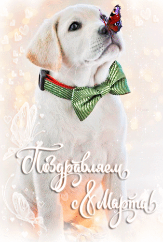 Анимированная открытка Поздравляем с 8 Марта!