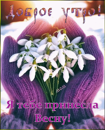 Анимированная открытка Доброе утро! Я тебе принесла Весну!