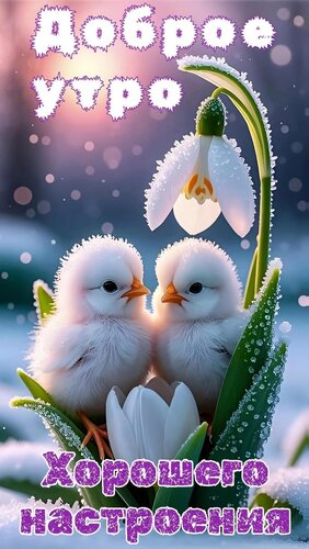 Открытка Доброе утро
