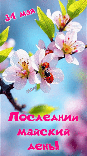 Анимированная открытка 31 мая Последний майский день!