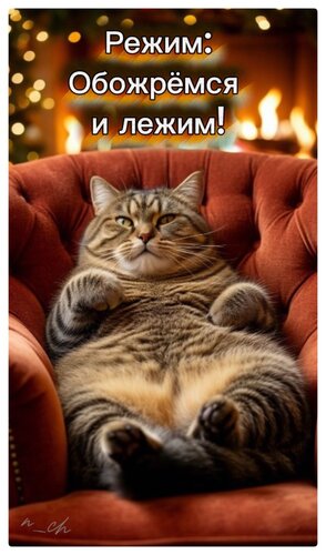 Открытка режим обожрёмся и лежим
