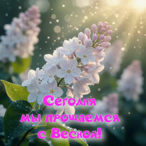 Анимированная открытка Сегодня мы прощаемся с Весной!