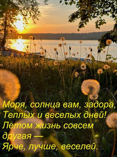 Открытка Моря, солнца вам, задора, Теплых и веселых дней! Летом жизнь совсем другая — Ярче, лучше, веселей.