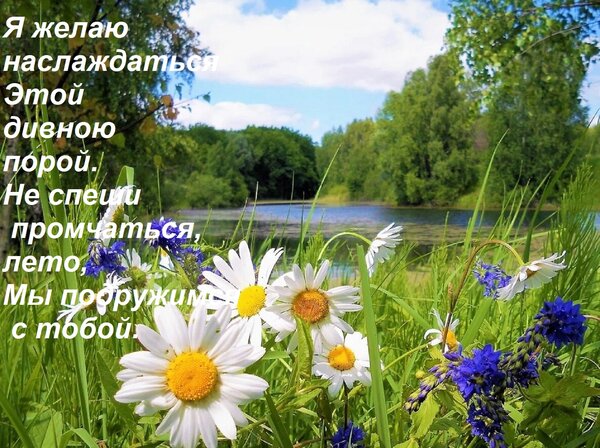 Открытка Я желаю наслаждаться Этой дивною порой. Не спеши промчаться, лето, Мы подружимся с тобой.