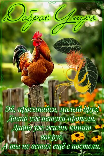 Открытка Доброе утро