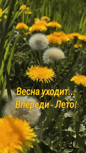 Анимированная открытка Весна уходит... Впереди - Лето!