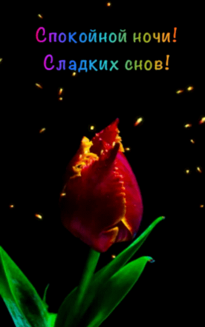 Анимированная открытка Спокойной ночи! Сладких снов!