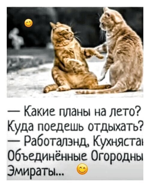 Открытка какие планы на лето