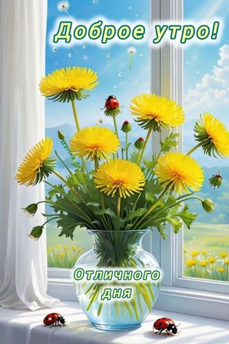Открытка Доброе утро