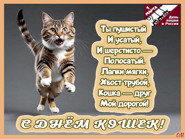 Открытка День кошек