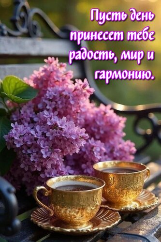 Открытка Пусть день принесет тебе радость, мир и гармонию.