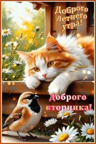 Открытка Доброго летнего утра! Доброго вторника!